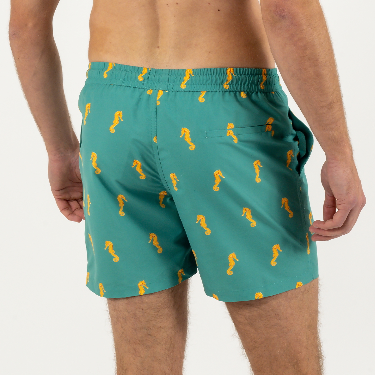 maillot-de-bain-homme-vert-motif-hippocampe-dos