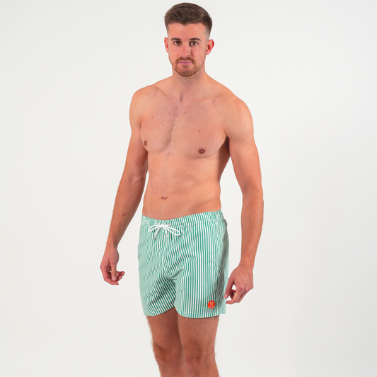 maillot-de-bain-homme-vert-rayé-broderie-oiseau-entier